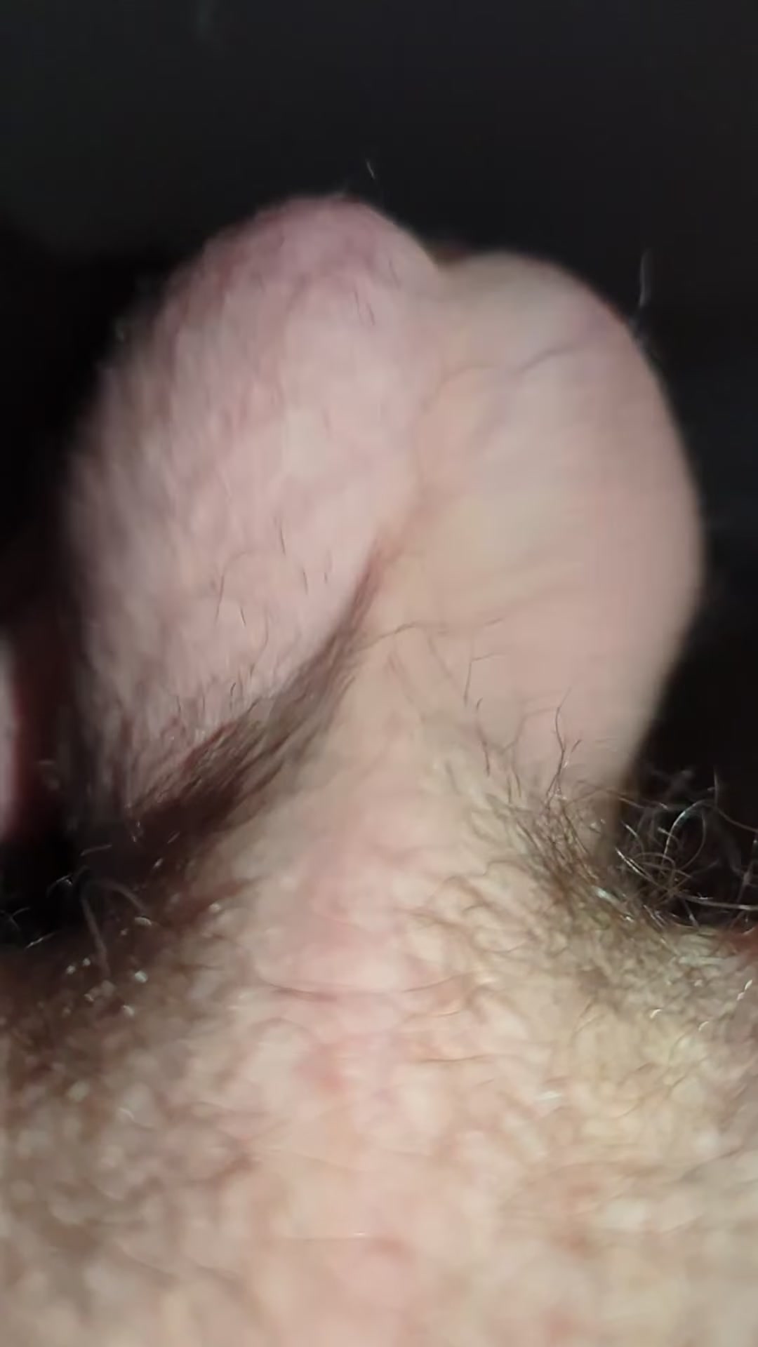 Can you almost feel my balls on your face? [21]