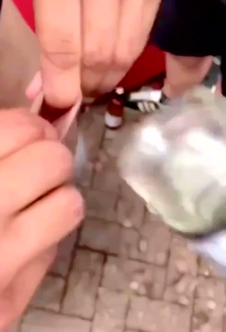 Cock Shots