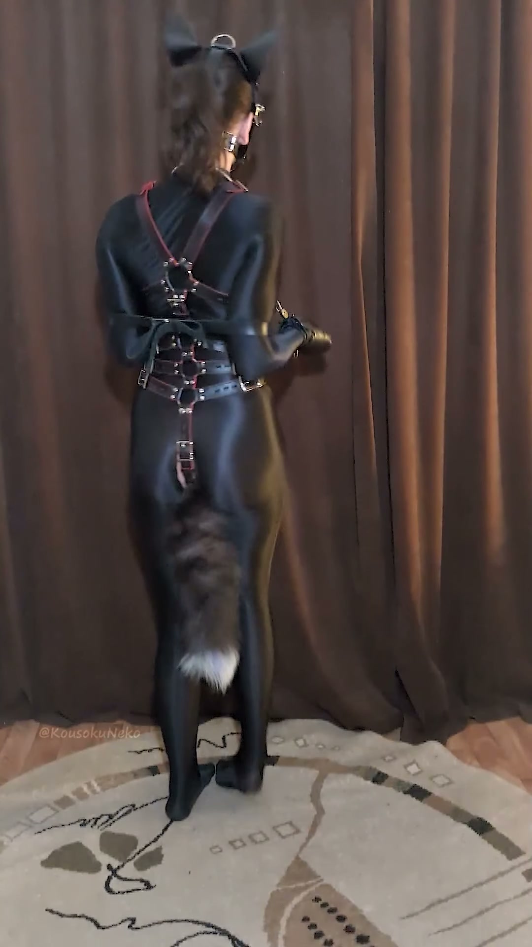 Puppygirl in training to become the good ponygirl [OC]