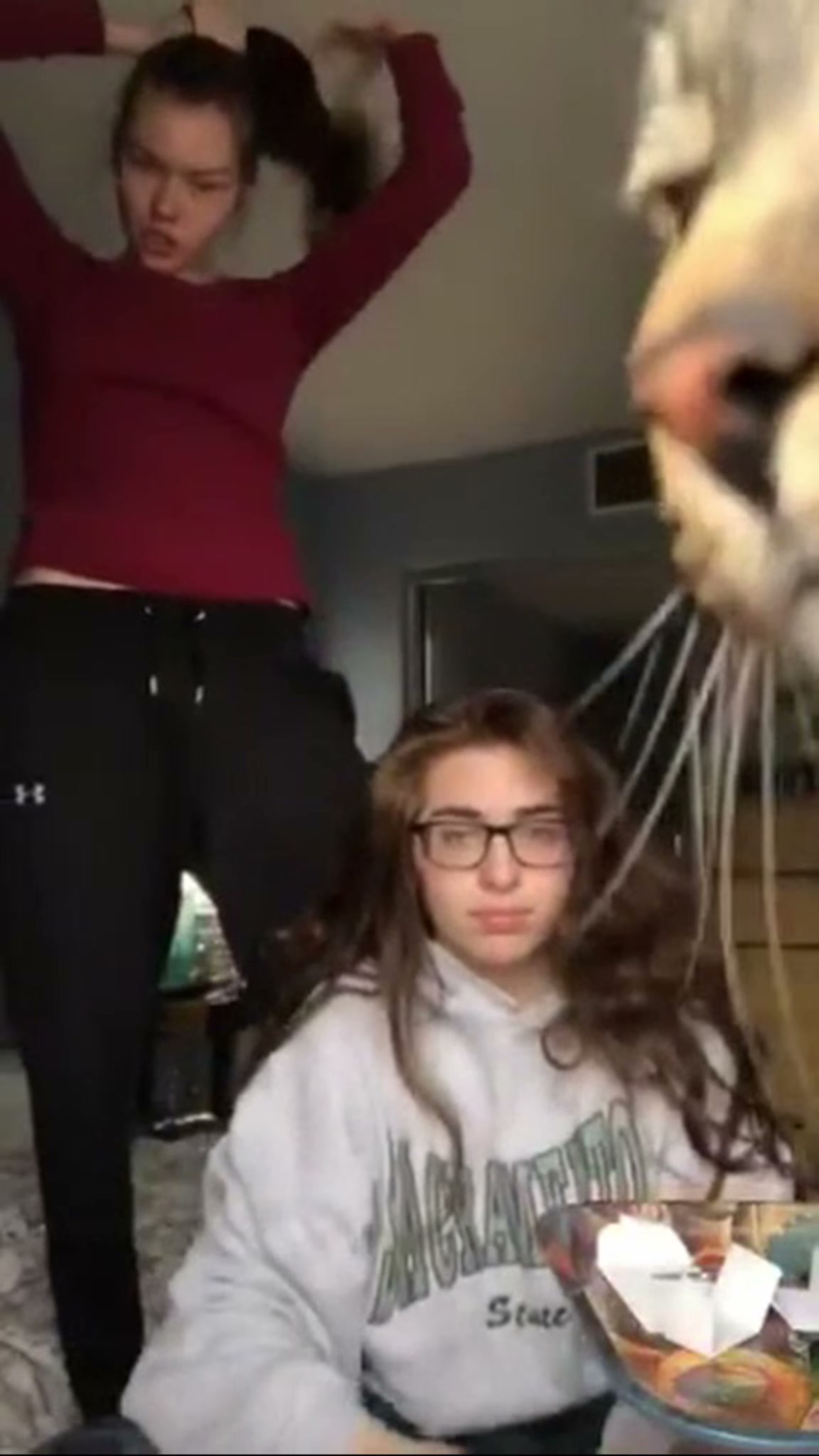 Kitty had the perfect view
